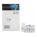 Thermo Fisher Scientific MitoProbe JC-1 Assay Kit
