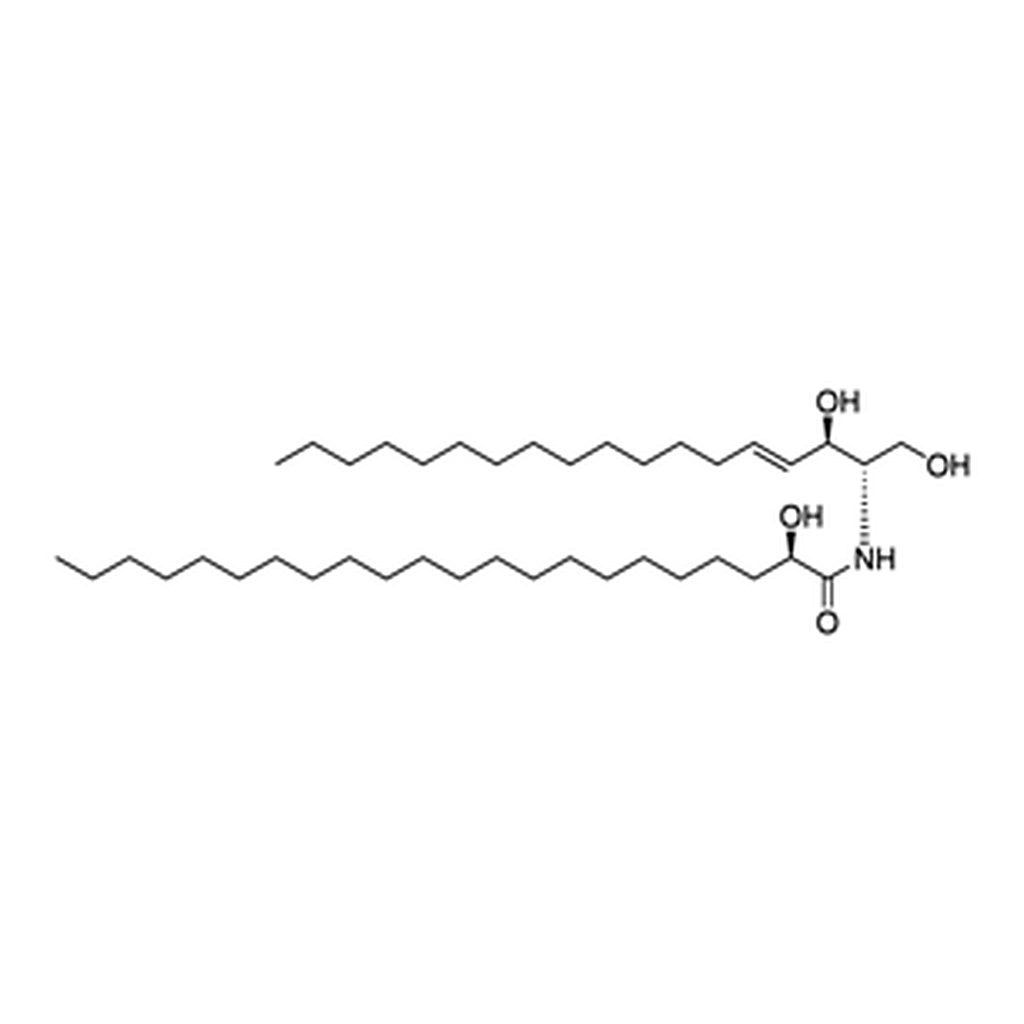 Merck 22:0(2R-OH) CERAMIDE