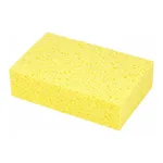 AS ONE Sponge, 스펀지