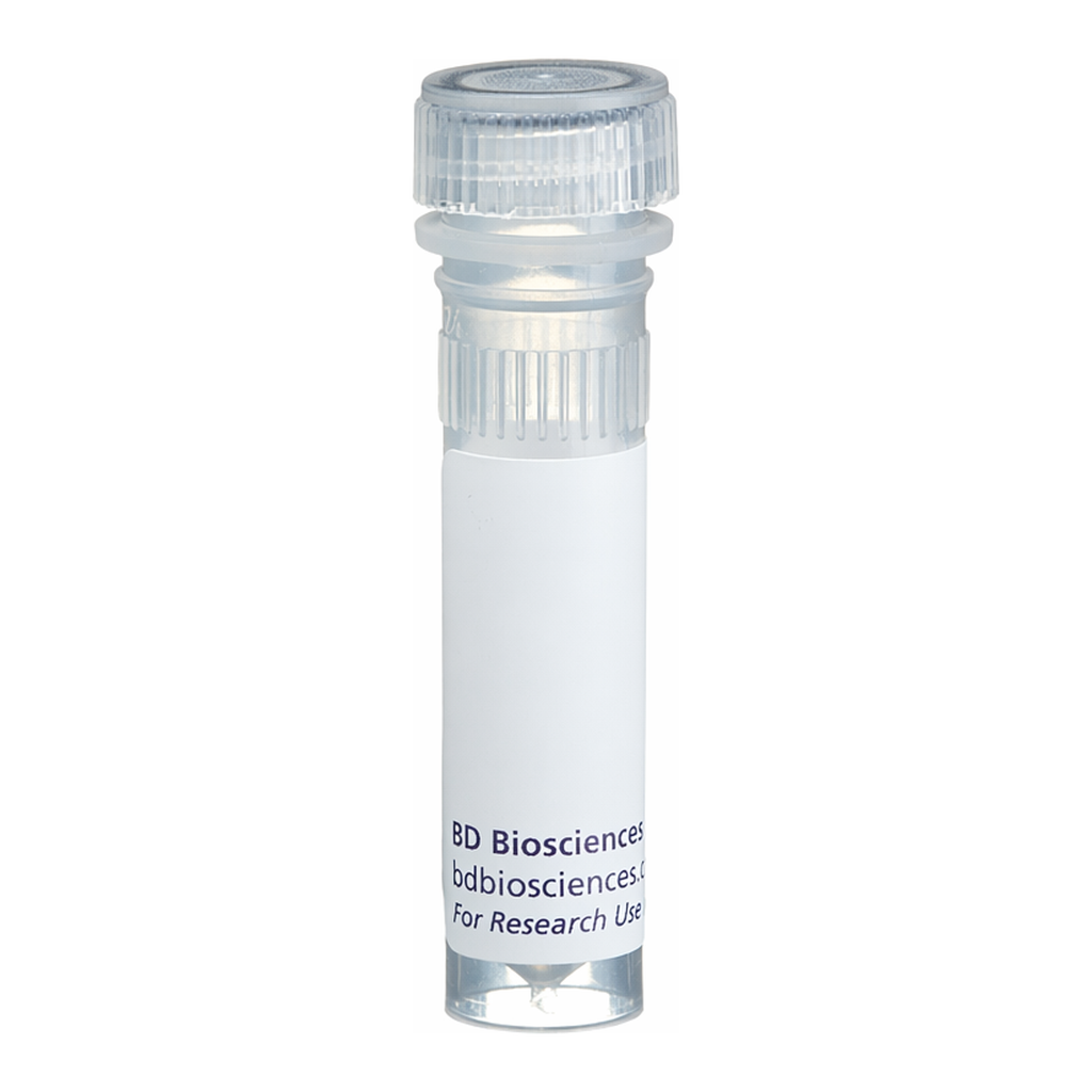 BD Biotin Rat Anti-Mouse CD249 (Ly-51)