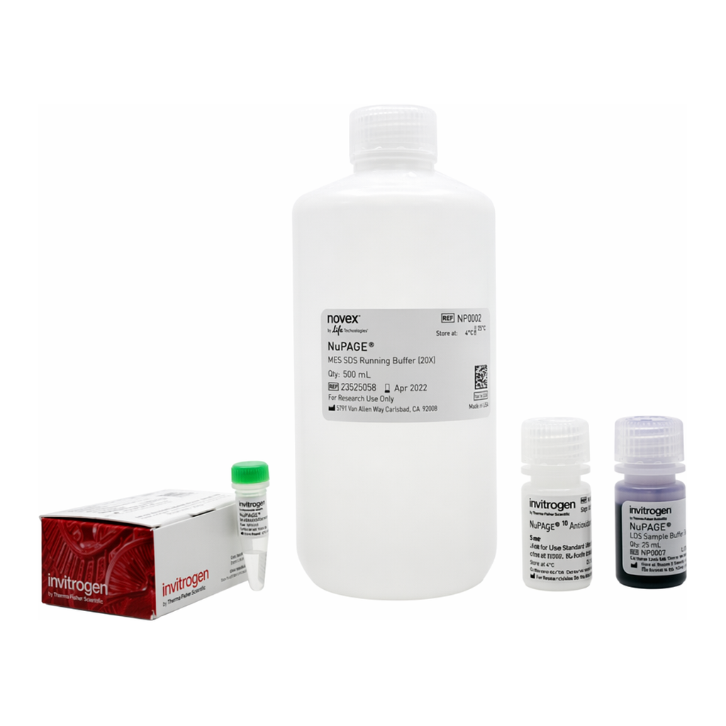 Thermo Fisher Scientific NuPAGE MES SDS Buffer Kit (for Bis-Tris Gels)