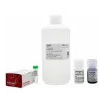Thermo Fisher Scientific NuPAGE MES SDS Buffer Kit (for Bis-Tris Gels)