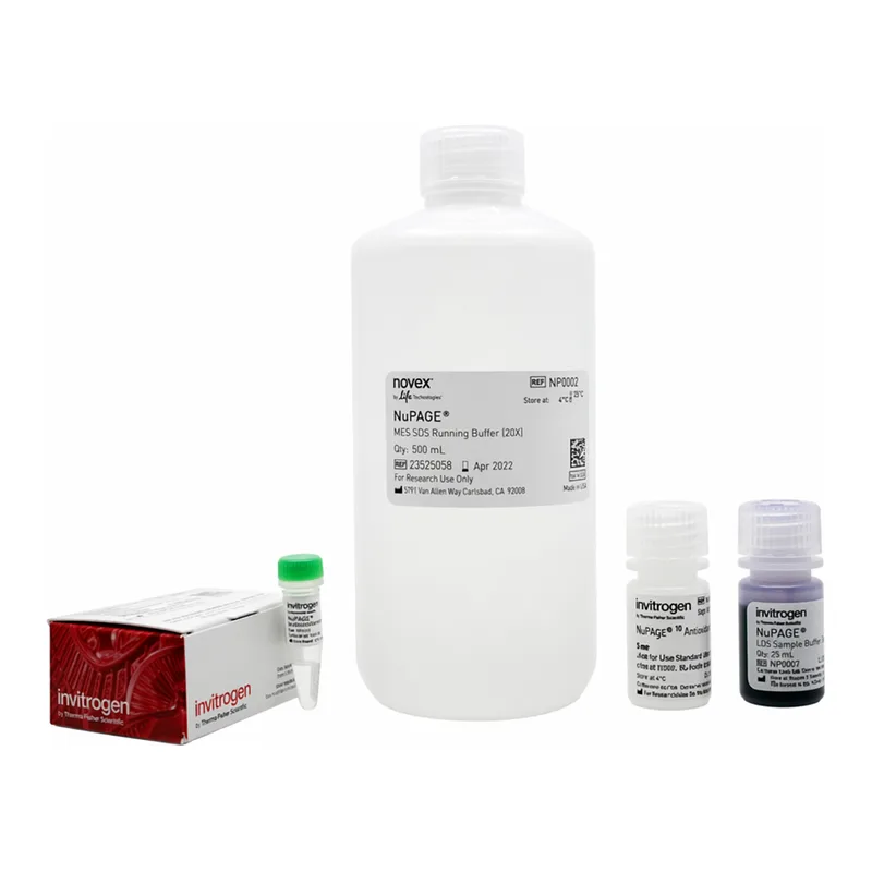 Thermo Fisher Scientific NuPAGE MES SDS Buffer Kit (for Bis-Tris Gels)