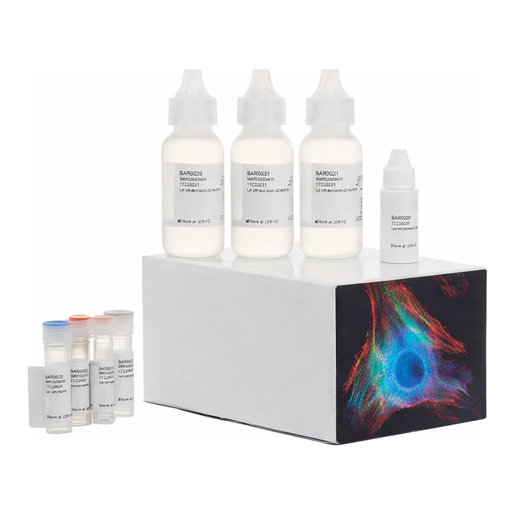 Thermo Fisher Scientific Alexa Fluor 555 Tyramide SuperBoost Kit, streptavidin