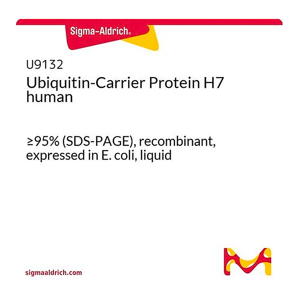 Merck Ubiquitin-Carrier Protein H7 human