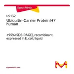 Merck Ubiquitin-Carrier Protein H7 human