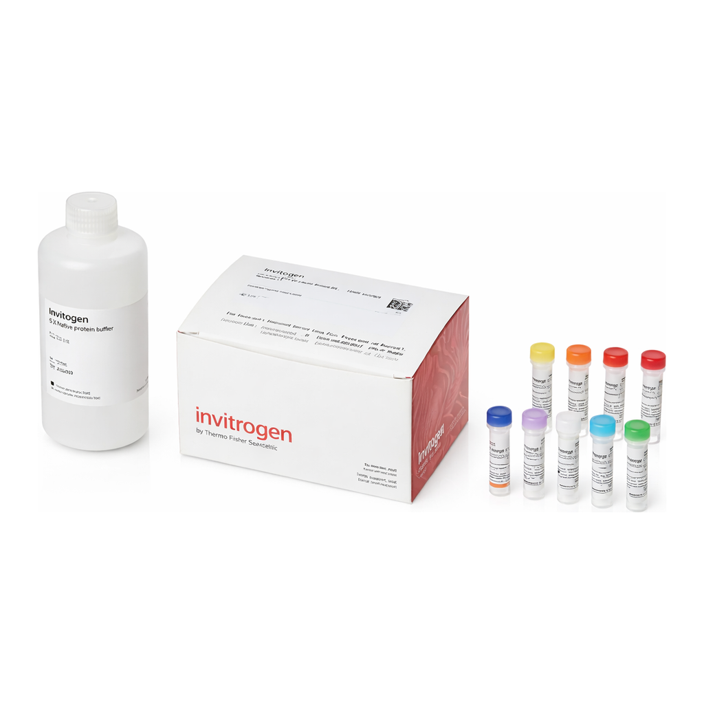 Thermo Fisher Scientific Quant-iT Protein Assay Kit