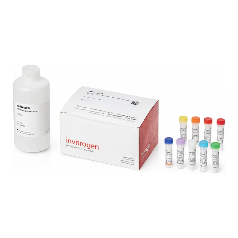 Thermo Fisher Scientific Quant-iT Protein Assay Kit