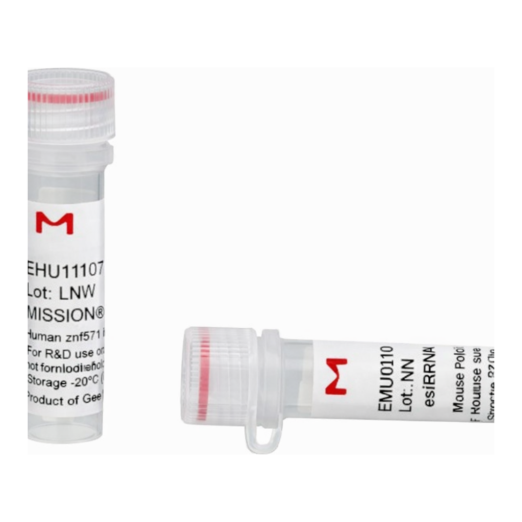 Merck MISSION(R) esiRNA