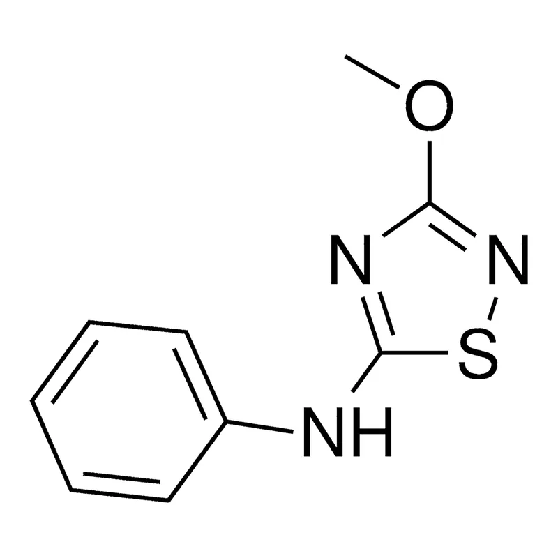 Merck 5-ANILINO-3-METHOXY-1,2,4-THIADI-