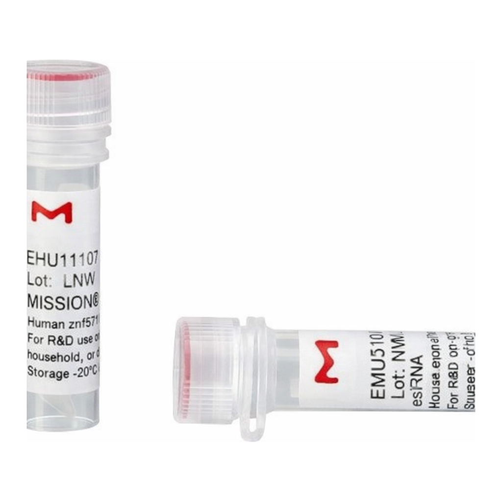Merck MISSION(R) esiRNA