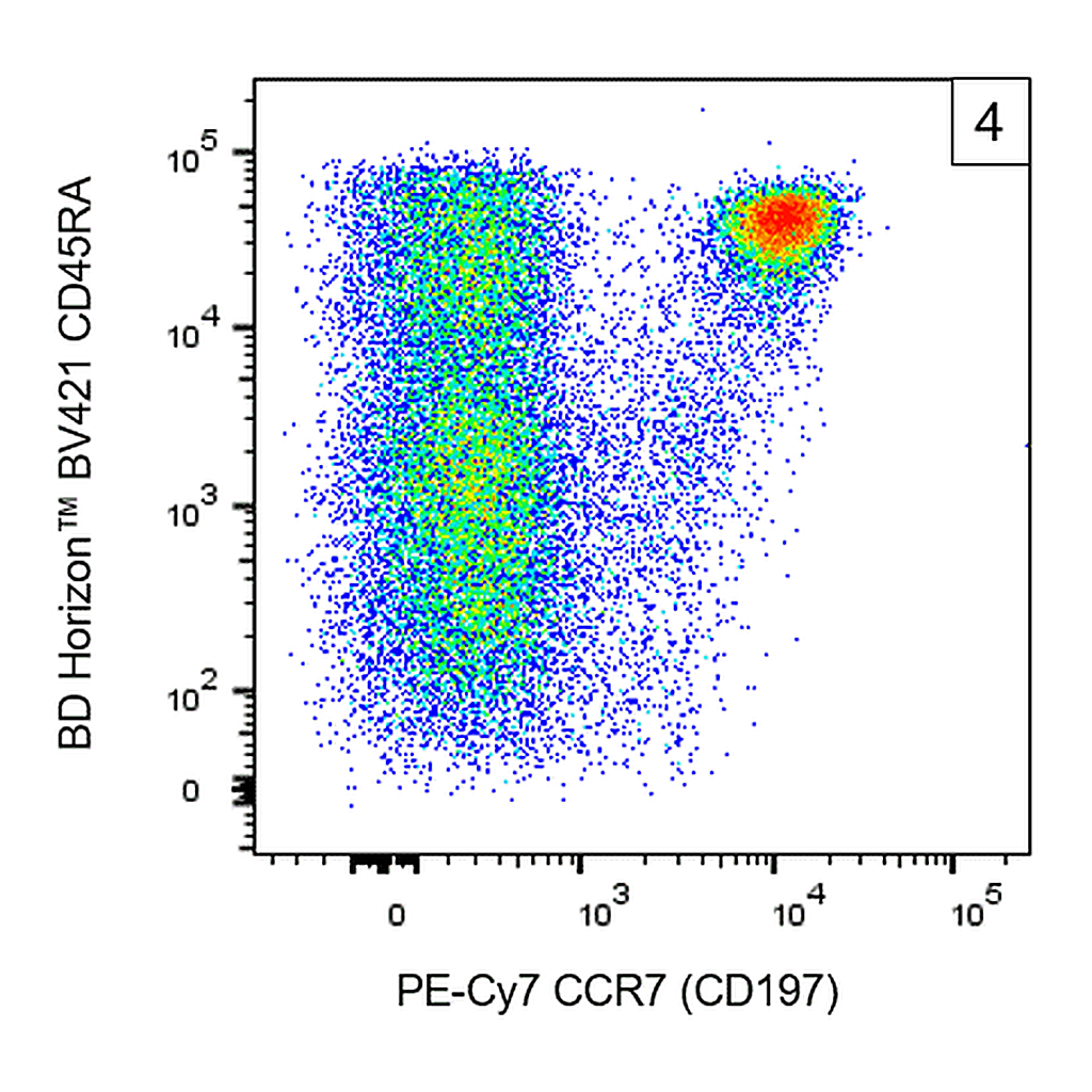 BD PE-Cy7 Mouse Anti-Human CCR7 (CD197)