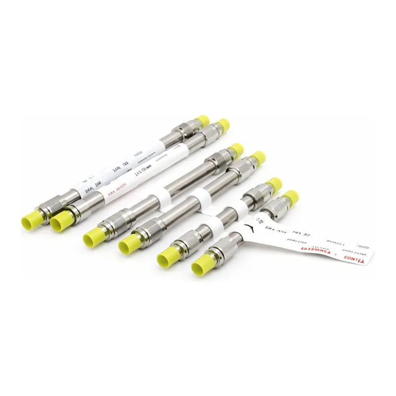 Thermo Fisher Scientific DNAPac RP 컬럼