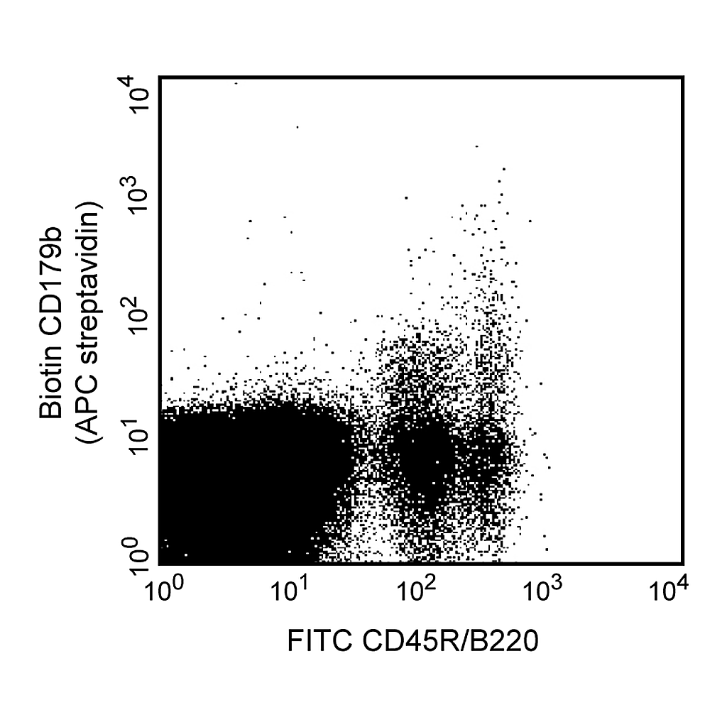 BD Biotin Rat Anti-Mouse CD179b