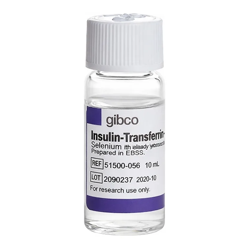 Thermo Fisher Scientific Insulin-Transferrin-Selenium-Ethanolamine (ITS -X) (100X)