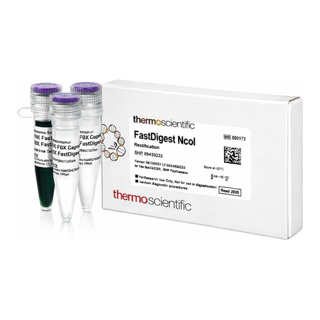 Thermo Fisher Scientific FastDigest NcoI, 20 &mu;L (20 Reactions)