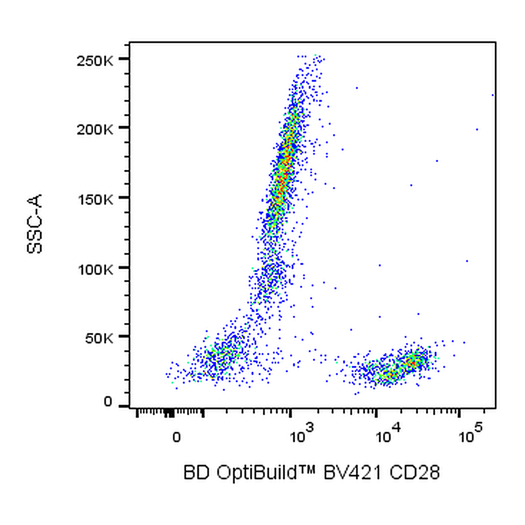 BD BV421 Mouse Anti-Human CD28