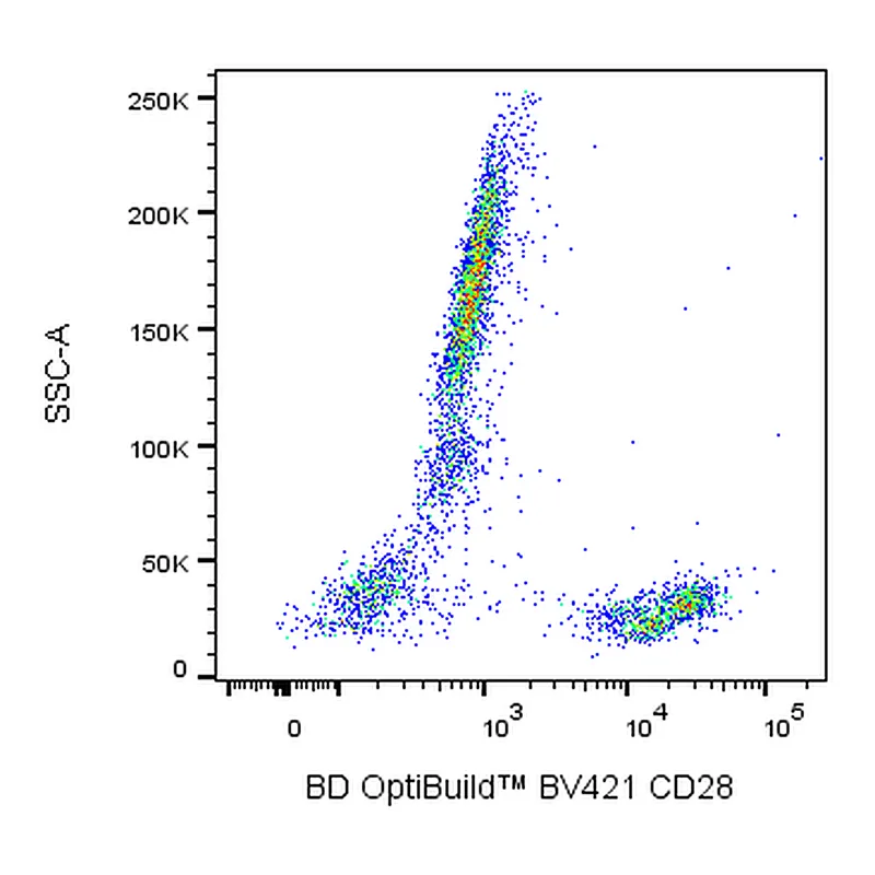 BD BV421 Mouse Anti-Human CD28