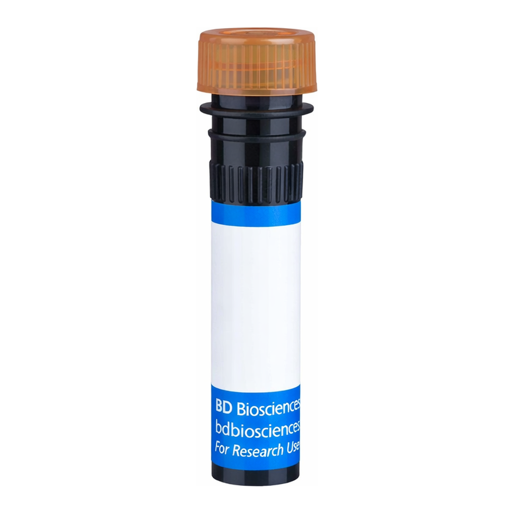 BD RB705 Mouse Anti-Human P-glycoprotein (CD243)