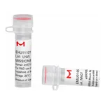 Merck MISSION(R) esiRNA
