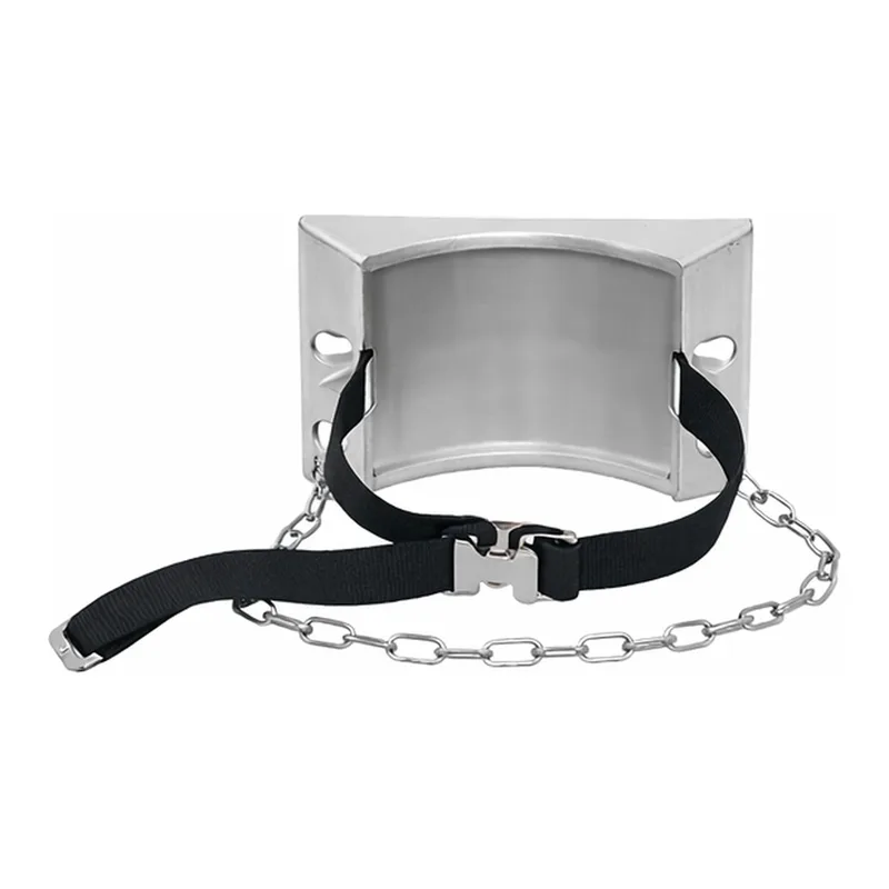 Agilent Cylinder wall bracket with strap + chain