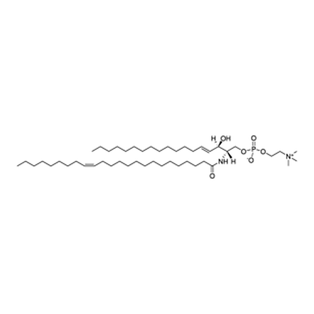 Merck 24:1 SM