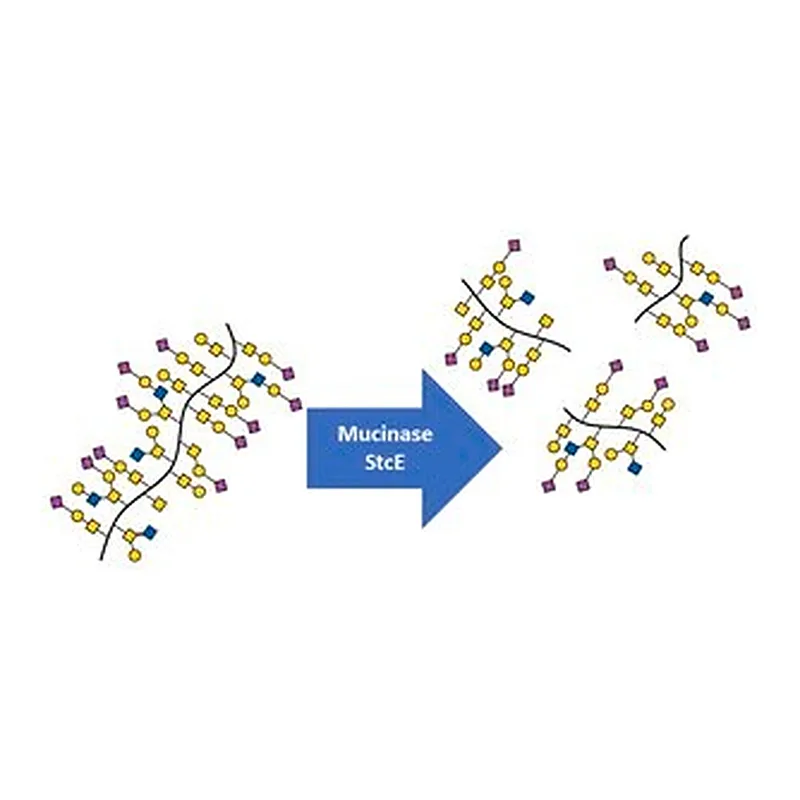 Merck Mucinase StcE