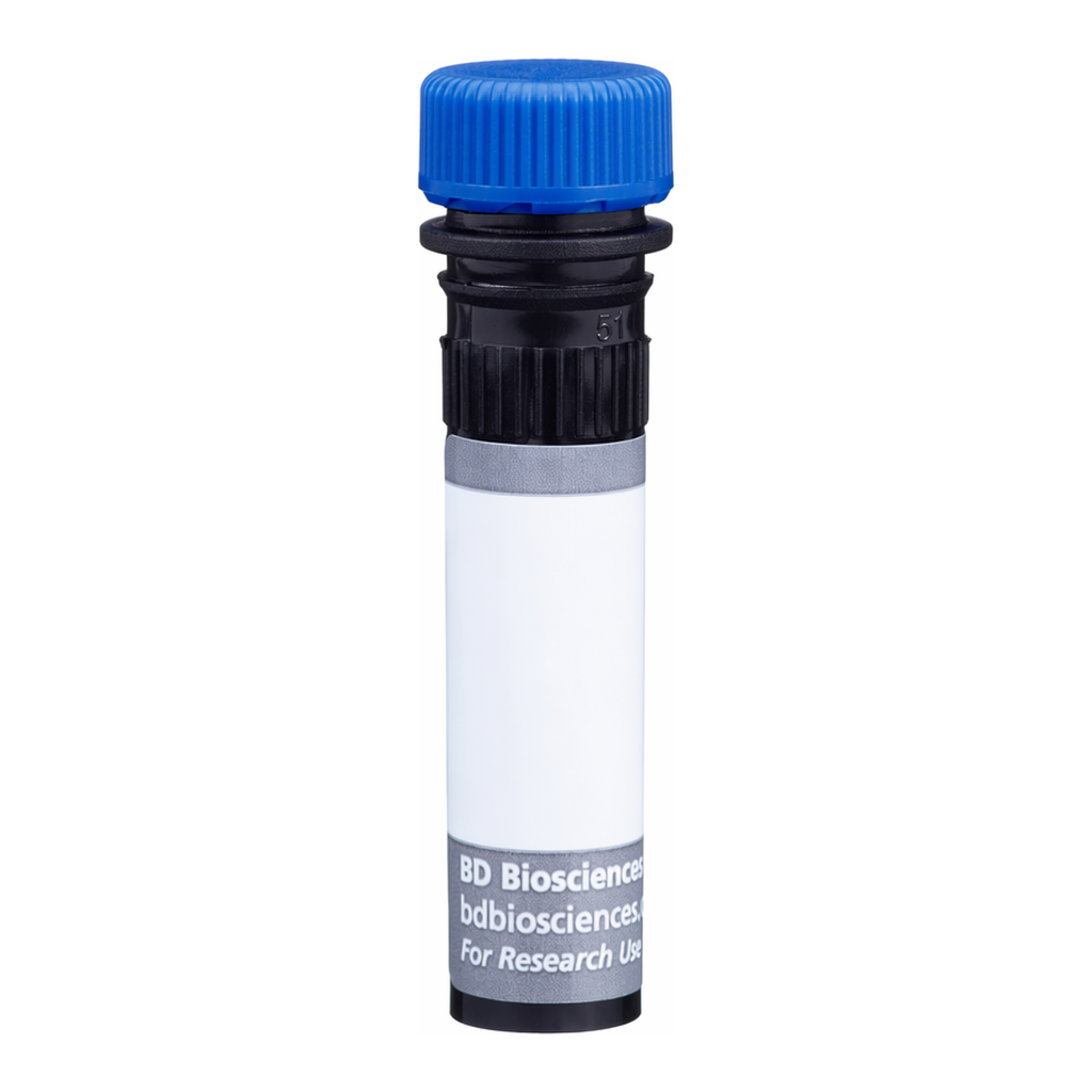 BD BUV496 Rat Anti-Mouse CD3 molecular complex