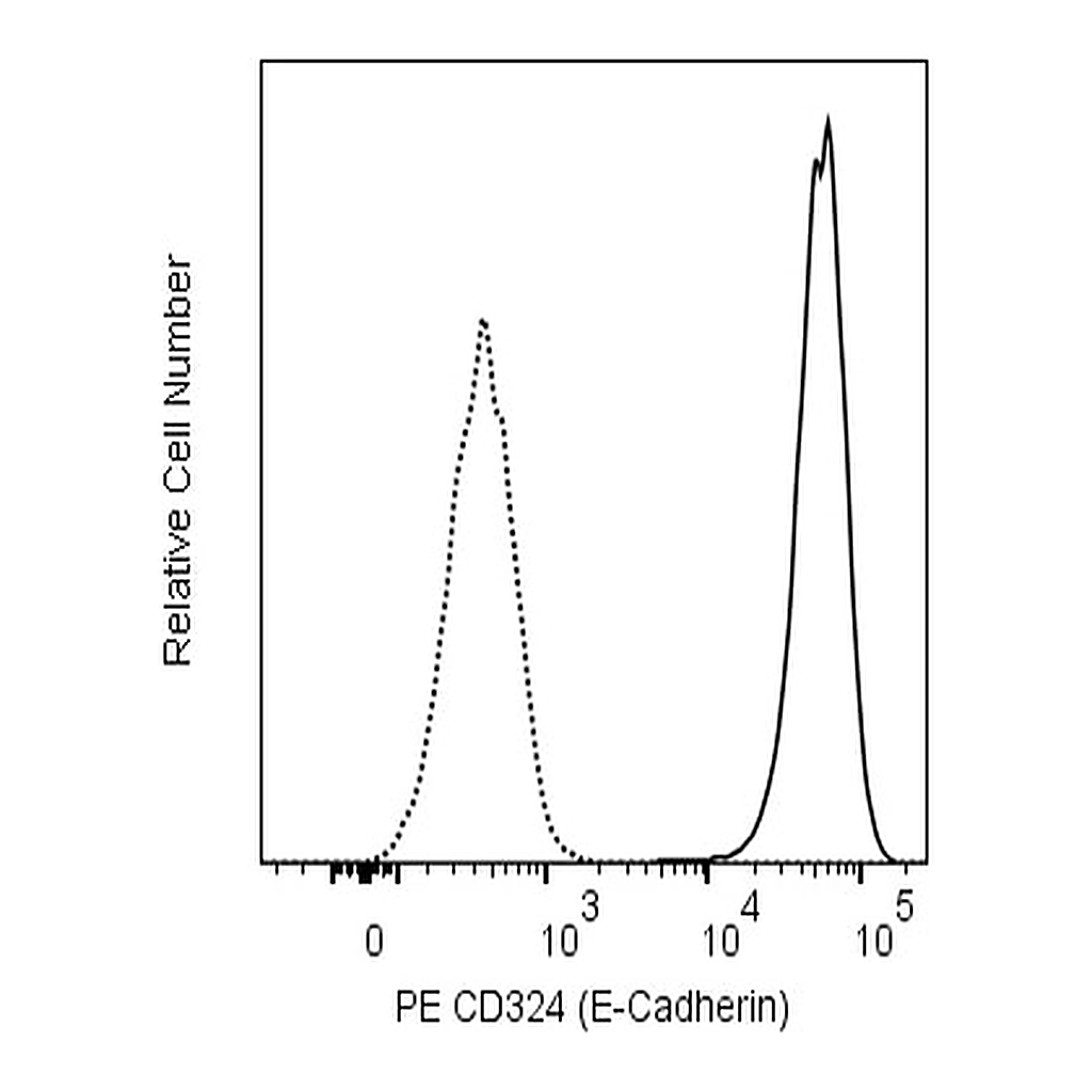 BD PE Rat Anti-Mouse CD324 (E-Cadherin)