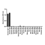 Thermo Fisher Scientific Goat anti-Human IgG1 (Heavy chain) Recombinant Secondary Antibody