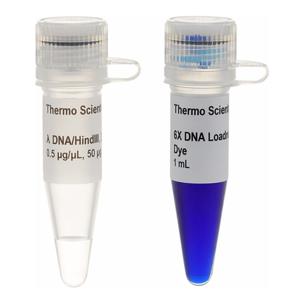 Thermo Fisher Scientific Lambda DNA/EcoRI Marker