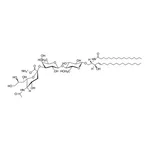 Merck C18:0 GM3 (synthetic)