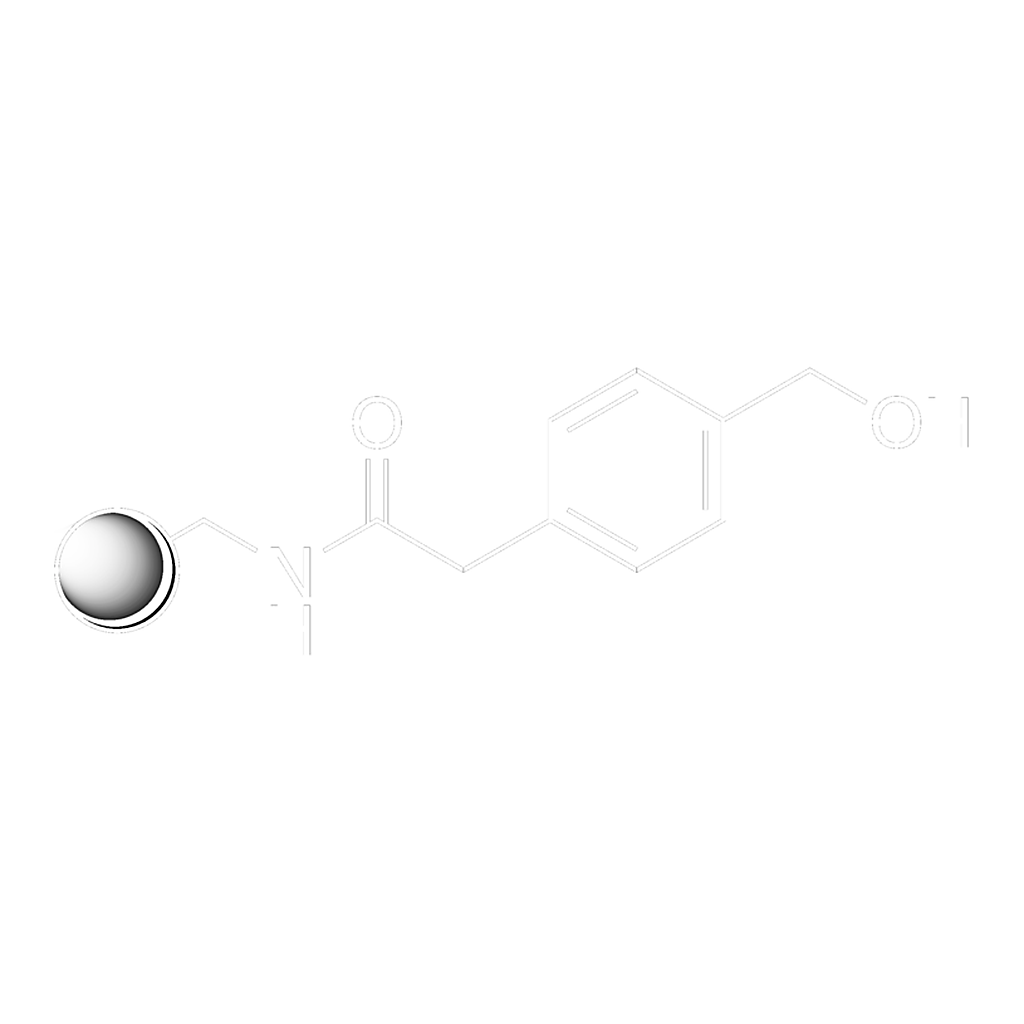 Merck PAM resin