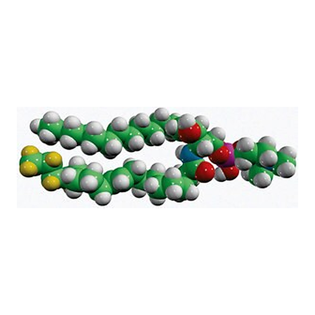 Merck 18:1-D9 SM