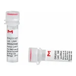 Merck MISSION(R) esiRNA
