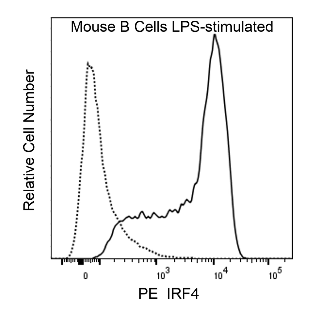 BD PE Mouse Anti- IRF4