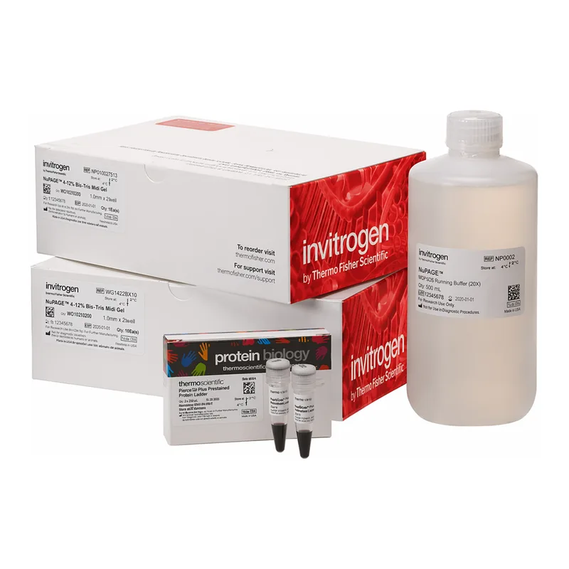 Thermo Fisher Scientific Novex Midi Tris-Glycine Plus Resupply Pack, 10%, WedgeWell format, 20-well, 1 Kit