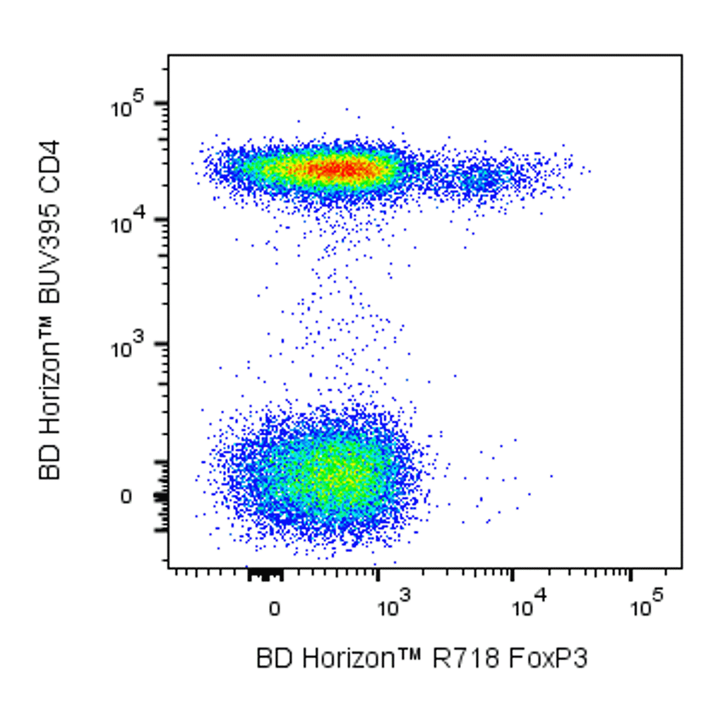 BD R718 Mouse Anti-Human FoxP3