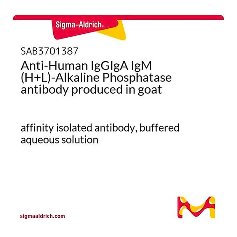 Merck Anti-Human IgGIgA IgM (H+L)-Alkaline Phosphatase antibody produced in goat