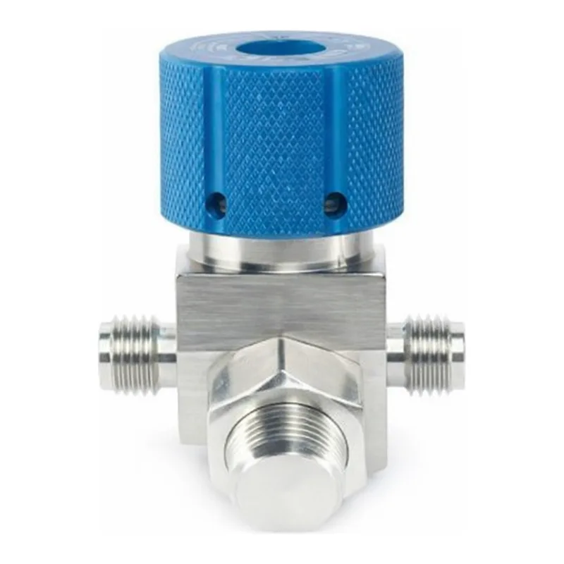 Restek 2 Port RAVEn - SS, 1/4in Replacement Valve Stainless Steel Diaphragm Valve for Entech cani