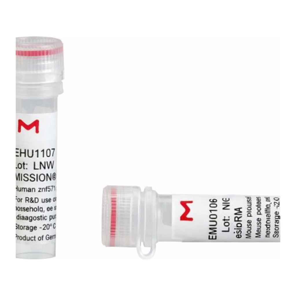 Merck MISSION(R) esiRNA