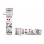 Merck MISSION(R) esiRNA