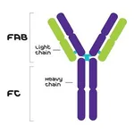Merck MOUSE IGG2A ISOTYPE CONTROL
