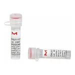 Merck MISSION(R) esiRNA