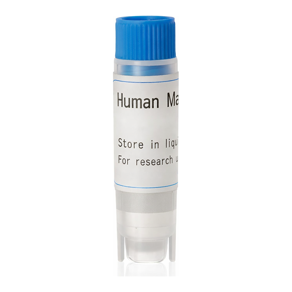 Thermo Fisher Scientific Human OATP1B1 (G) SLC Transporter Cells