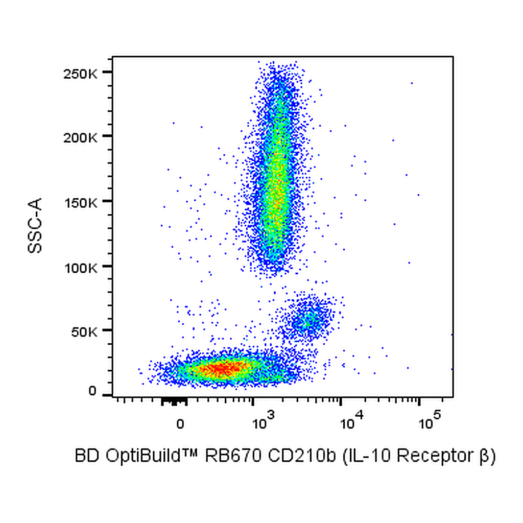 BD RB670 Mouse Anti-Human CD210b (IL-10 Receptor β)