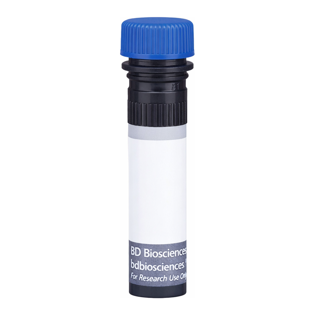 BD BUV496 Rat Anti-Mouse Vβ 6 T-Cell Receptor
