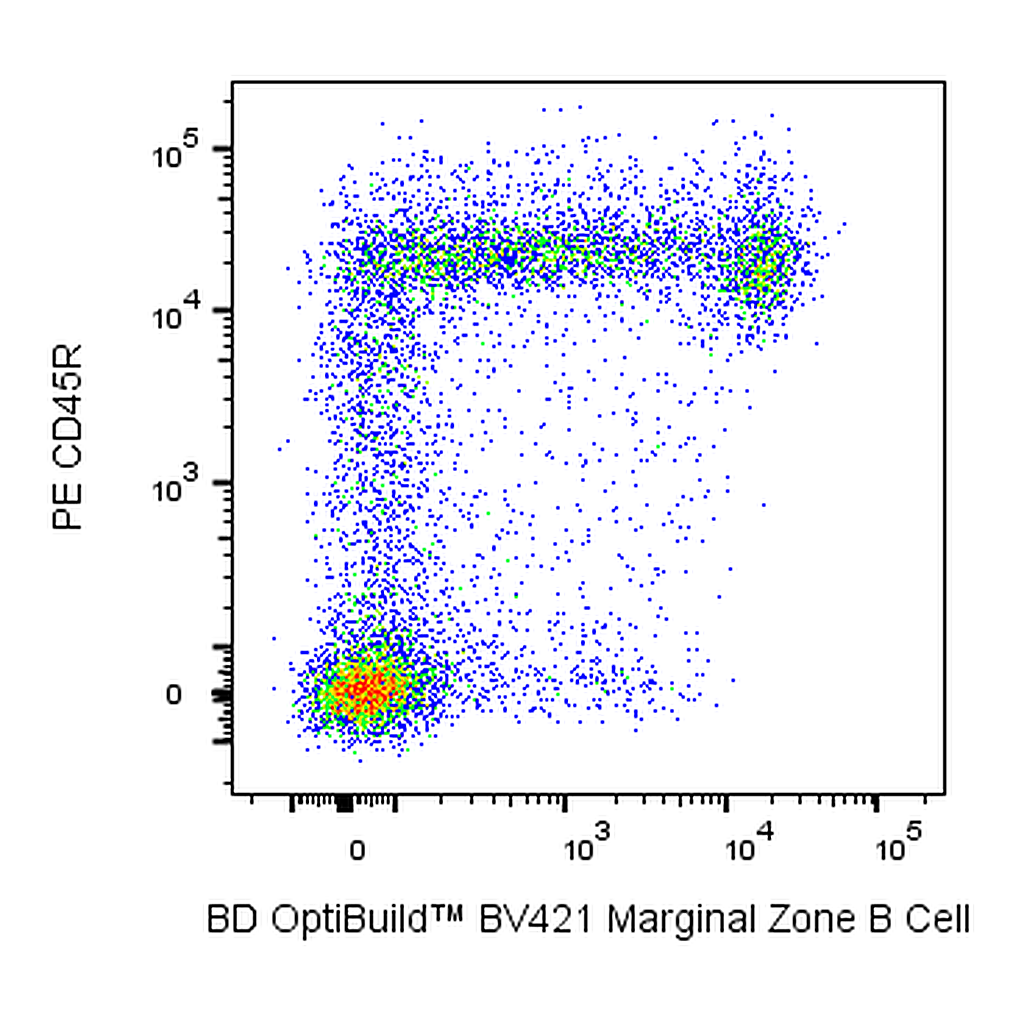 BD BV421 Mouse Anti-Rat Marginal Zone B Cells