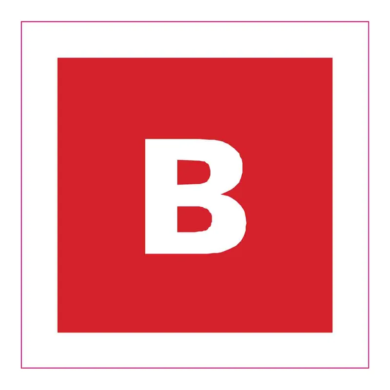 Brady B Labels
