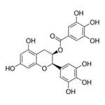 Merck EPIGALLOCATECHIN GALLATE